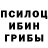 Галлюциногенные грибы мицелий Vladimir Kreker