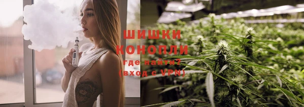 крисы Заводоуковск