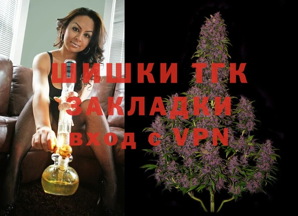гашик Ветлуга